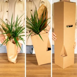 Tillandsia Et Son Support En Cube - H35cm, ø20cm - Plante D'intérieur Tombante -Karcher Soldes 1d4ca7b43168e807