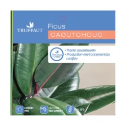 Caoutchouc : 3 Pieds Pot -Karcher Soldes 28705 001