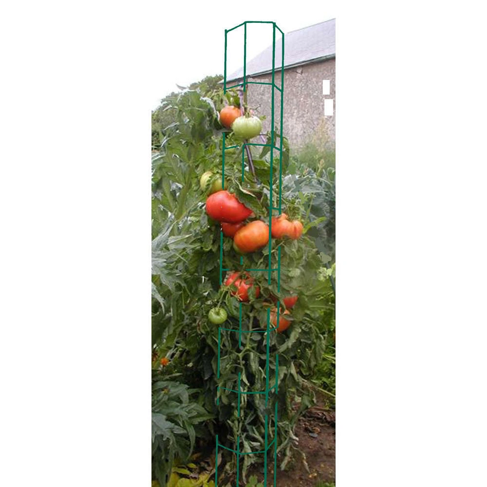 Colonne Tomate : 180cm 1 Colonne Tomate : 180cm