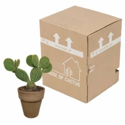 Opuntia Microdasys Et Son Cache-pot Marron - H40cm, ø17cm - Plante D'intérieur 7 Opuntia Microdasys Et Son Cache-pot Marron - H40cm, ø17cm - Plante D'intérieur -Karcher Soldes 48d55715481eec9b