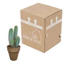 Pilosocereus Azureus Et Son Cache-pot Marron - H40cm, ø17cm - Plante D'intérieur -Karcher Soldes 5a33834f87ba2412