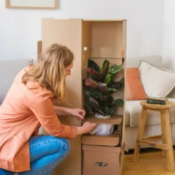 Plante D'intérieur - Zamioculcas Zamiifolia L 65cm -Karcher Soldes 6377ddad5e3bc9.45712714