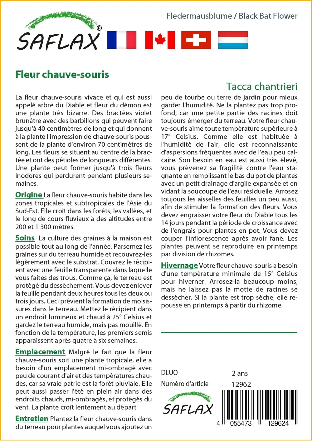 Kit De Culture - Fleur Chauve-souris - 10 Graines - Tacca Chantrieri 3 Kit De Culture - Fleur Chauve-souris - 10 Graines - Tacca Chantrieri – Image 3