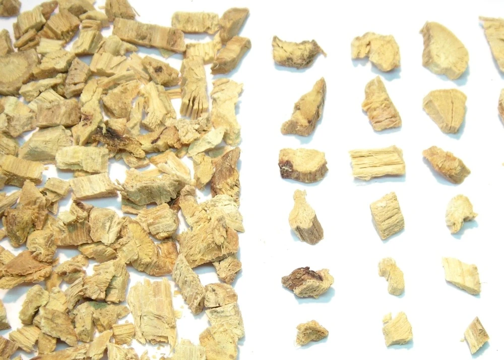 Kit De Culture - Réglisse Glabre - 30 Graines - Glycyrrhiza Glabra 4 Kit De Culture - Réglisse Glabre - 30 Graines - Glycyrrhiza Glabra – Image 4