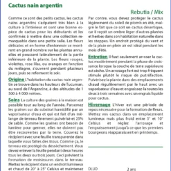 Kit De Culture - Cactus Nain Argentin - 40 Graines - Rebutia / Mix 9 Kit De Culture - Cactus Nain Argentin - 40 Graines - Rebutia / Mix -Karcher Soldes 6406411347abb3.06145492