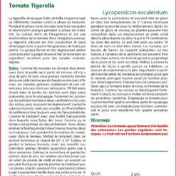 Kit De Culture - Tomate Tigerella - 10 Graines - Lycopersicon Esculentum 6 Kit De Culture - Tomate Tigerella - 10 Graines - Lycopersicon Esculentum -Karcher Soldes 64064139cf1d13.09091706