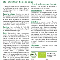 Kit De Culture - Bio - Chou-fleur - Boule De Neige - 70 Graines - Brassica Oleracea Var. Botrytis -Karcher Soldes 6406413d407ee0.82661291