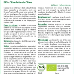 Kit De Culture - Bio - Ciboulette De Chine - 100 Graines - Allium Tuberosum -Karcher Soldes 6406414b121373.86359171