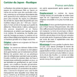 Kit De Culture - Cerisier Du Japon - 30 Graines - Prunus Serrulata -Karcher Soldes 64064157603ec8.18852446
