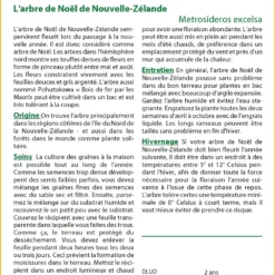 Kit De Culture - L'arbre De Noël De Nouvelle-zélande - 300 Graines - Metrosideros Excelsa 9 Kit De Culture - L'arbre De Noël De Nouvelle-zélande - 300 Graines - Metrosideros Excelsa -Karcher Soldes 6406415d43fb13.76934822