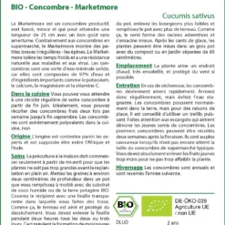 Kit De Culture - Bio - Concombre - Marketmore - 20 Graines - Cucumis Sativus -Karcher Soldes 640641696a9b18.60145631