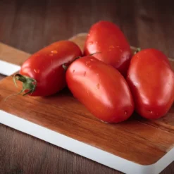 Kit De Culture - Bio - Tomate - San Marzano - 15 Graines - Solanum Lycopersicum 13 Kit De Culture - Bio - Tomate - San Marzano - 15 Graines - Solanum Lycopersicum -Karcher Soldes 6406416b4f7255.16851216