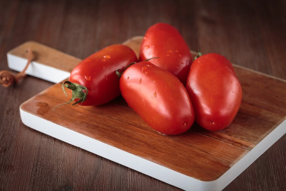 Kit De Culture - Bio - Tomate - San Marzano - 15 Graines - Solanum Lycopersicum 7 Kit De Culture - Bio - Tomate - San Marzano - 15 Graines - Solanum Lycopersicum – Image 7