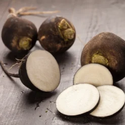 Kit De Culture - Bio - Radis - Noir - 100 Graines - Raphanus Sativus -Karcher Soldes 64064173d81689.02005216