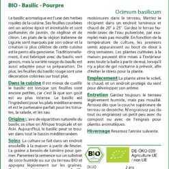 Kit De Culture - Bio - Basilic - Pourpre - 400 Graines - Ocimum Basilicum -Karcher Soldes 640641778d8a61.41878619