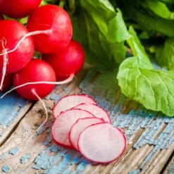 Kit De Culture - Bio - Radis - Cherry Bell - 100 Graines - Raphanus Sativus -Karcher Soldes 640641a631b644.14920756