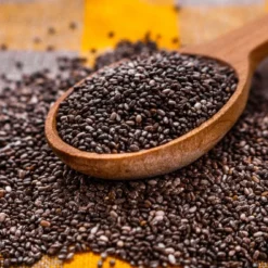 Kit De Culture - Bio - Sauge - 60 Graines - Salvia Officinalis 13 Kit De Culture - Bio - Sauge - 60 Graines - Salvia Officinalis -Karcher Soldes 640641bf510530.24887861