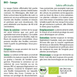 Kit De Culture - Bio - Sauge - 60 Graines - Salvia Officinalis 9 Kit De Culture - Bio - Sauge - 60 Graines - Salvia Officinalis -Karcher Soldes 640641bf633633.78306731