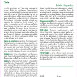 Kit De Culture - Chia - 500 Graines - Salvia Hispanica -Karcher Soldes 640641c58ca2e2.06384767