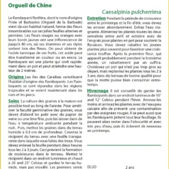 Kit De Culture - Orgueil De Chine - 10 Graines - Caesalpinia Pulcherrima -Karcher Soldes 640641f136dc53.00647808