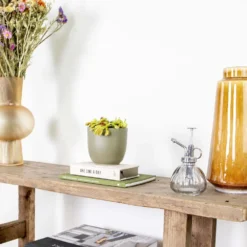 Dionaea Muscipula – Plante Carnivore – Peu D'entretien – ⌀12 Cm – ↕10-15 Cm -Karcher Soldes 640b20a5e78e48.00125916