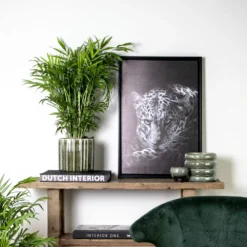 Chamaedorea Elegans - Palmier Nain Mexicain - Purificateur D'air – ⌀17 Cm - ↕50-60 Cm -Karcher Soldes 640b21045e72a5.33117055