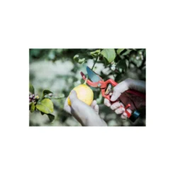 Sécateur à Main En Acier Bellota - 25mm - 350523 -Karcher Soldes 648b4e431e6c58.16868914