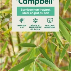 Bambou Non-traçant Fargesia Robusta 'Campbell': Pot De 12 Litres -Karcher Soldes 814665 003