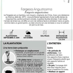 Bambou Non-traçant Fargesia Angustissima: Pot De 5 Litres 9 Bambou Non-traçant Fargesia Angustissima: Pot De 5 Litres -Karcher Soldes 825296 007