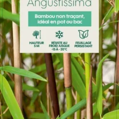 Bambou Non-traçant Fargesia Angustissima: Pot De 5 Litres 8 Bambou Non-traçant Fargesia Angustissima: Pot De 5 Litres -Karcher Soldes 825296 008