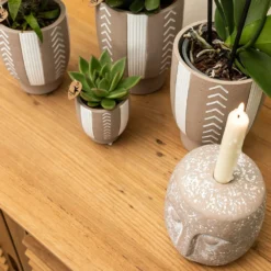 Echeveria Miranda - H13cm, ø9cm - Plante D'intérieur 8 Echeveria Miranda - H13cm, ø9cm - Plante D'intérieur -Karcher Soldes f209523da1b249a5