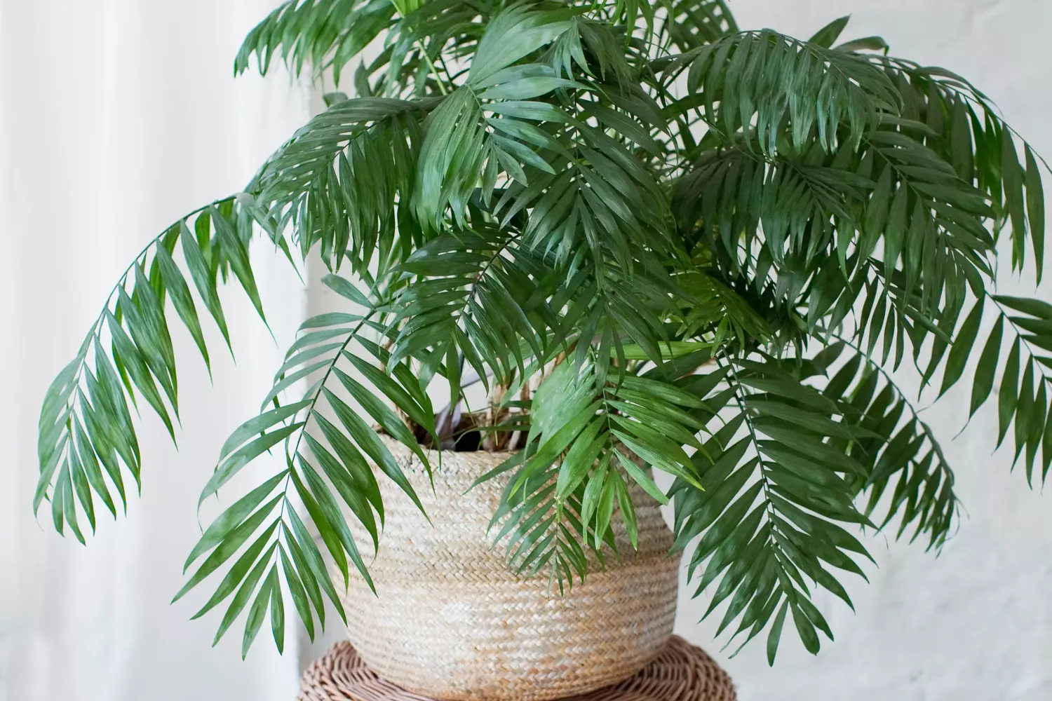 Magasin De Graines -Karcher Soldes 34958905